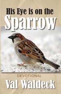 His Eye Is On The Sparrow-image