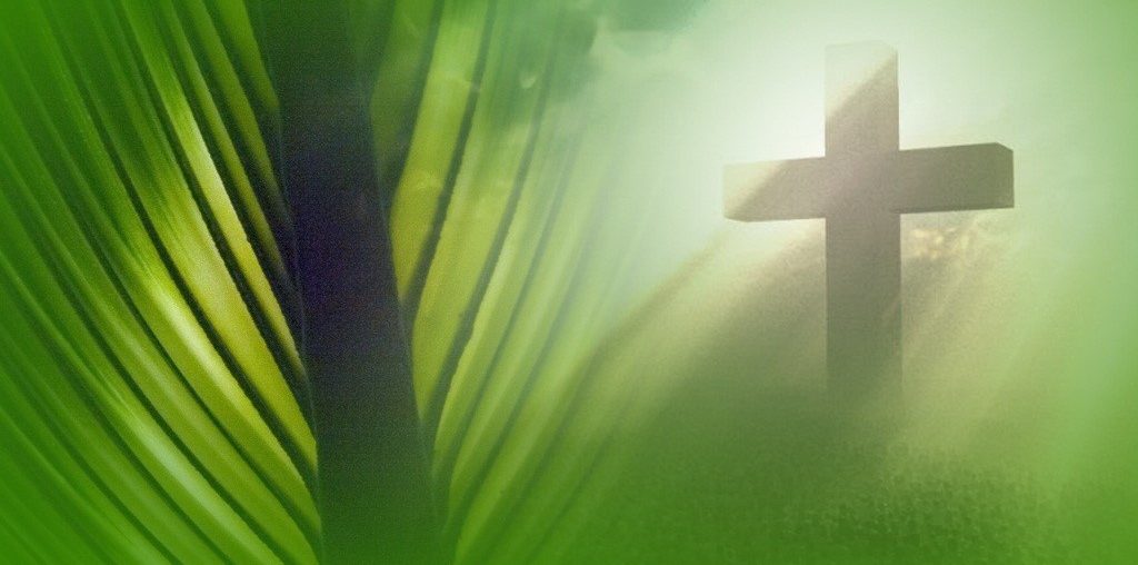 The Prophetic Significance of Palm Sunday