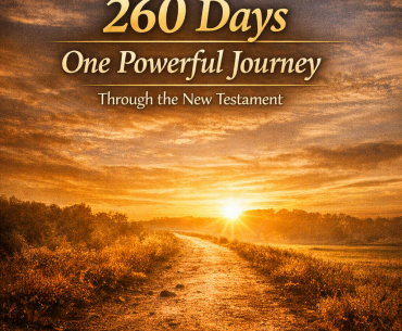 New Testament Challenge