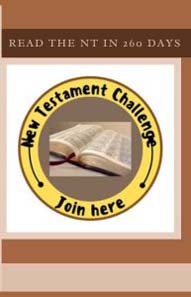 New Testament Challenge logo